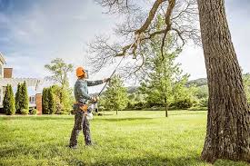 Best Lawn Mowing  in West Park, CA